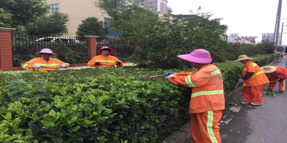 新站區(qū)道路清掃保潔、綠化管養(yǎng)項目