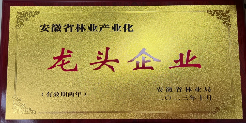 綠葉集團(tuán)榮獲“安徽省林業(yè)產(chǎn)業(yè)化龍頭企業(yè)”稱號